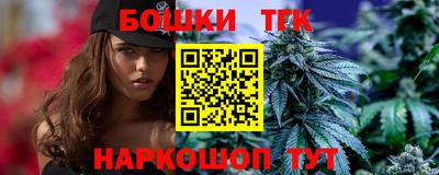 индика Наро-Фоминск
