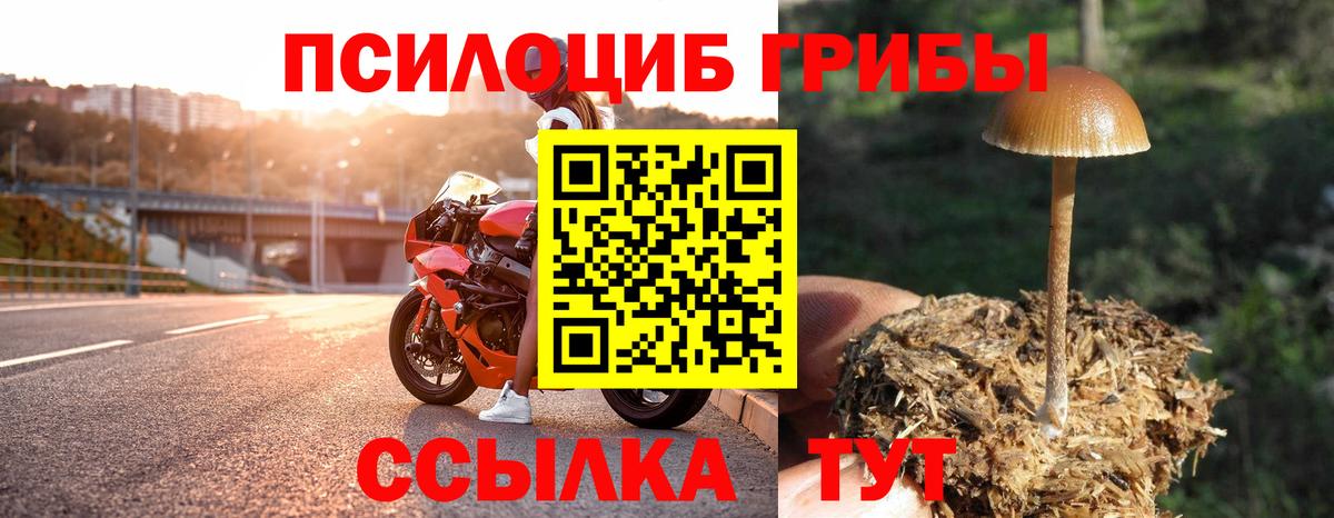 Псилоцибиновые грибы прущие грибы  Вход с VPN  Ульяновск 