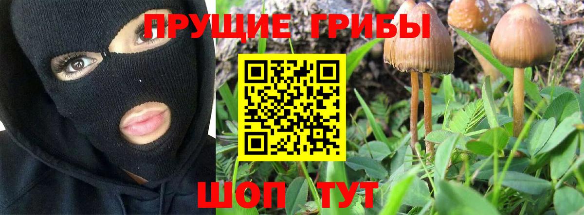 Псилоцибиновые грибы MAGIC MUSHROOMS Ульяновск
